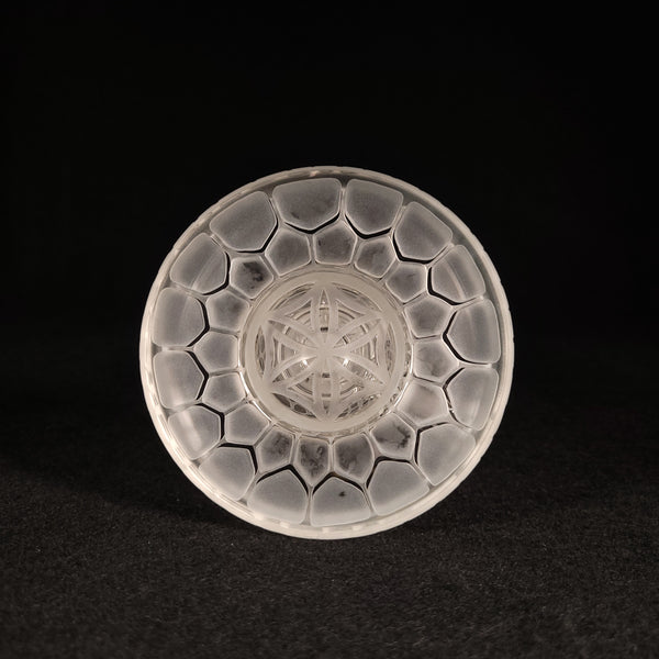 Mothership Glass - Animal Print Straight Fab