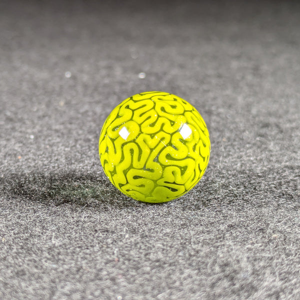 Algae Braintech - Full Size Slurper Marbles