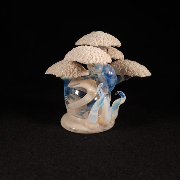 Bubbles The Butcher - Snowy Bonsai