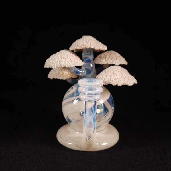 Bubbles The Butcher - Snowy Bonsai