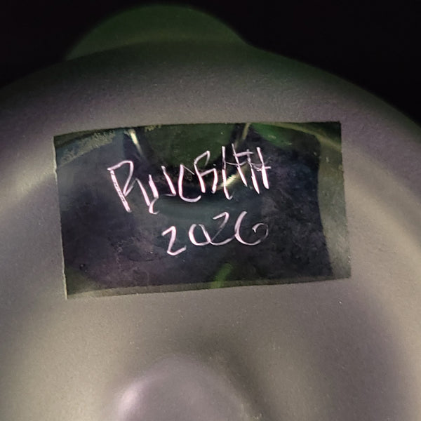 RyCraft - Mini Purps and Green Rycycler (Donatello)