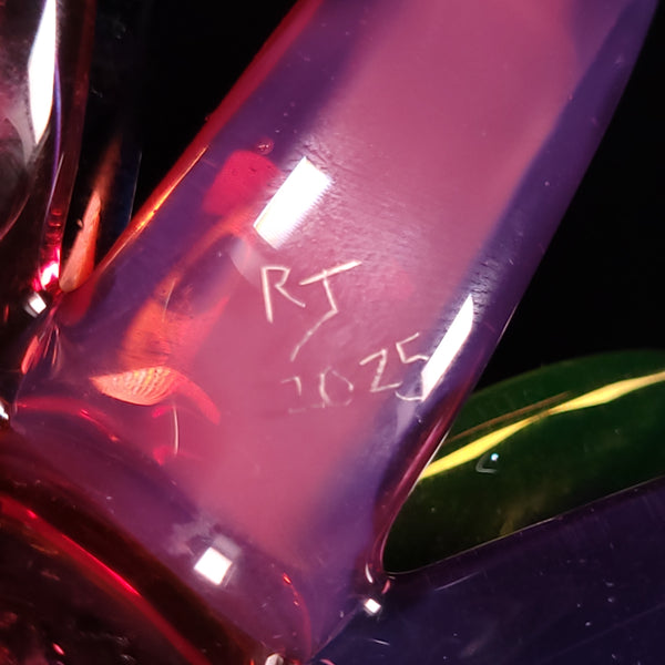 RJ Glass - UV Rainbow Macaw