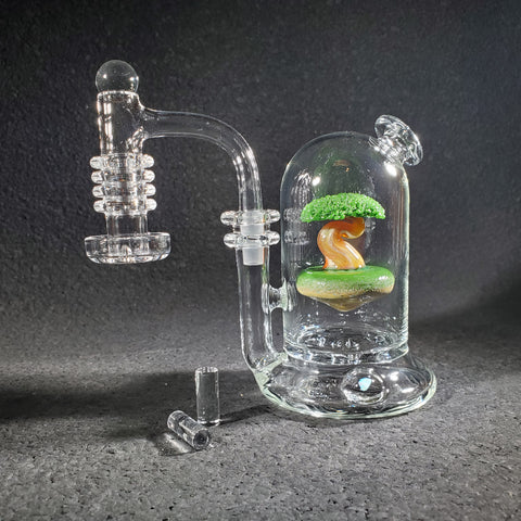 Bubbles The Butcher - Floating Bonsai in a Bottle Daily Deal
