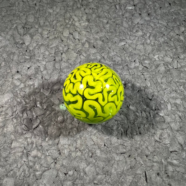 Algae Braintech - Full Size Slurper Marbles