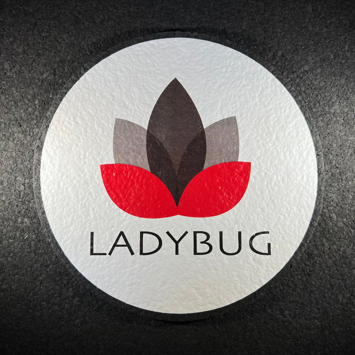 Dr. LadyBug - Moodmat