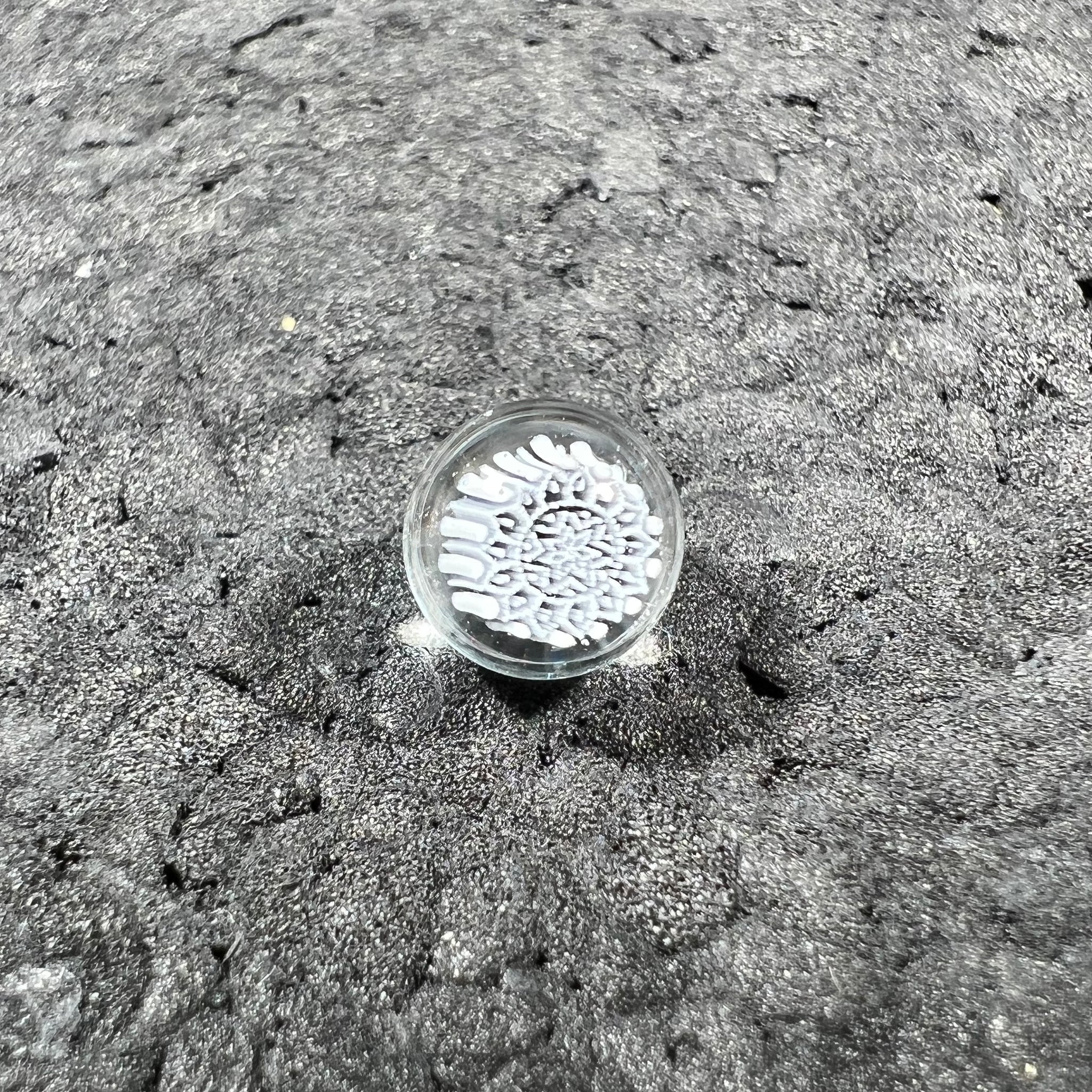 Steve H Glass - Pearls